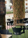 Bares en Roda de Berà, RESTAURANT MEDITERRANEO, Cocina Menú del día