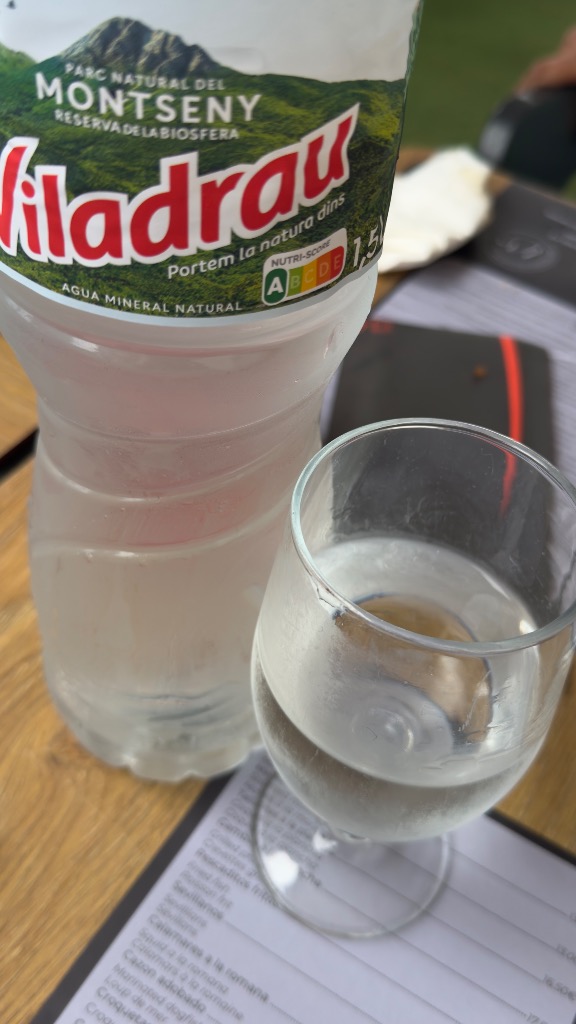 Valoración y opiniones de comida y bebida en Roda de Berà, RESTAURANT MEDITERRANEO, Agua Viladrau