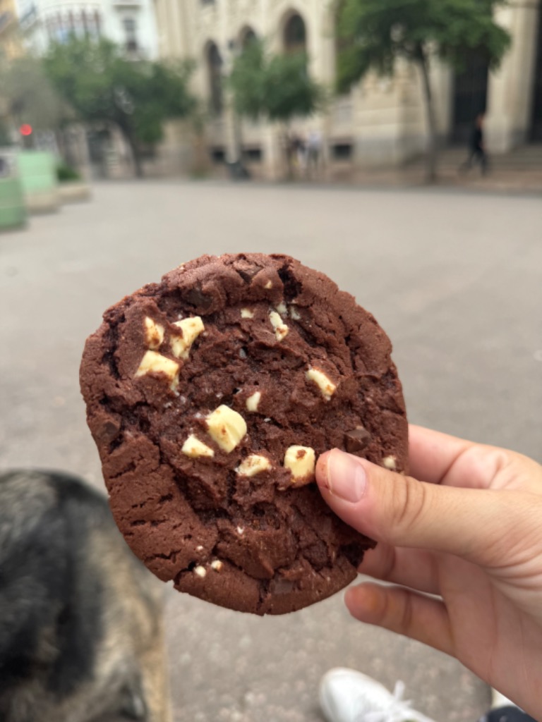 Carta de Cafeterías en Valencia, Syra Coffee - Cirilo Amorós, Galleta de chocolate blanco y frambuesas