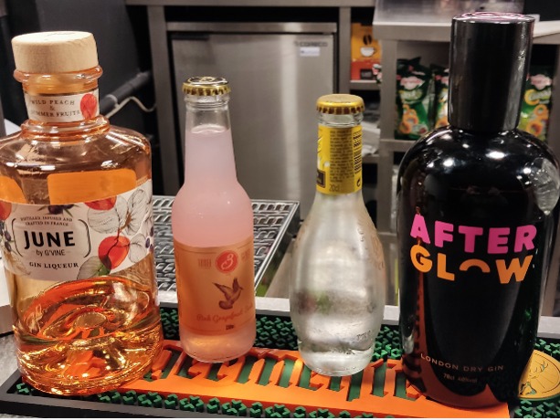 Carta de Cervecerías en Pamplona, Infernu Taberna, Gin tonic