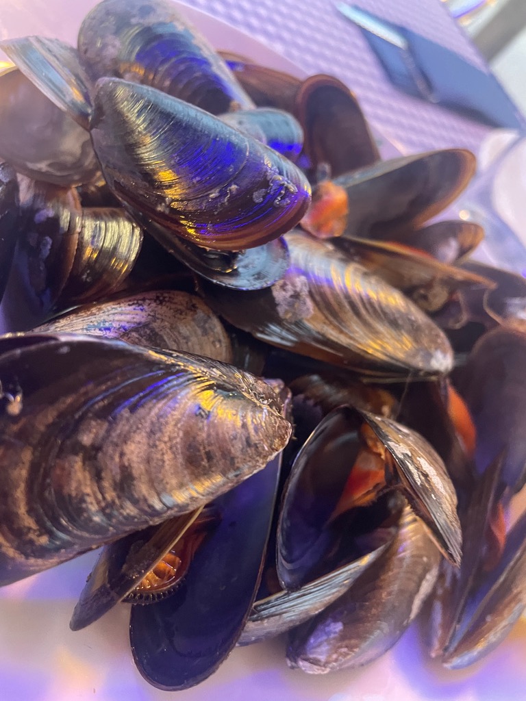 Menu of Beach Bars in Salou, Chiringuito Playamero, Mejillones