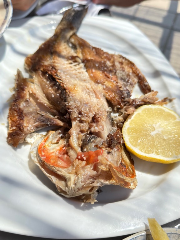 Recomendación gastronómica de Tarifa: Pescado borriquete