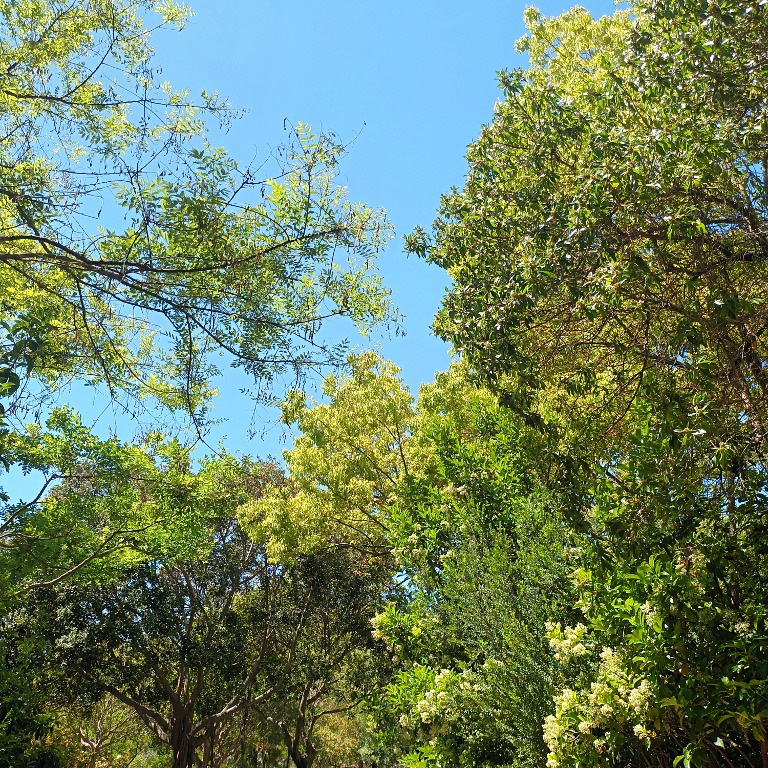 Enjoty, tu comunidad foodie, usuario de Finestrat, Kchxd