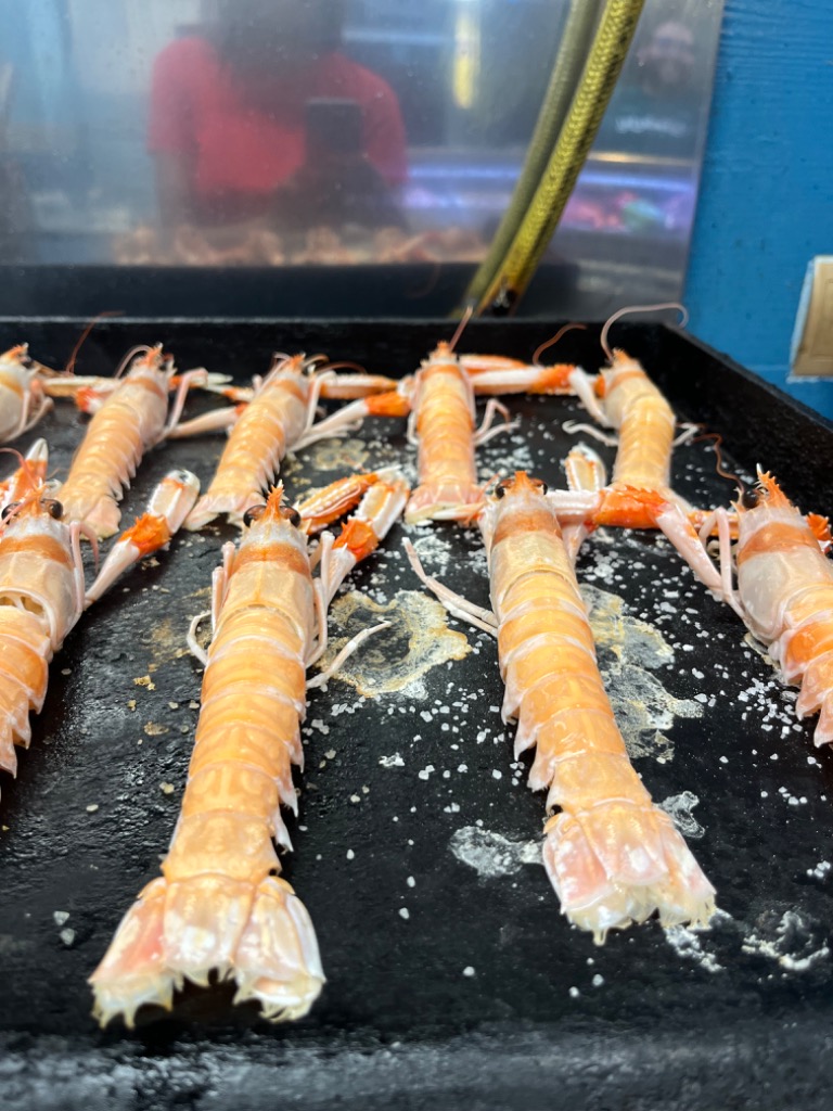 Carta de Restaurantes en Alicante, Sagasta 11, Cigalas plancha
