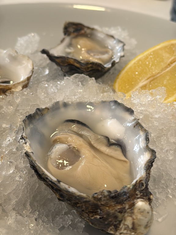 Recomendación gastronómica de Barbastro: Ostras gallegas