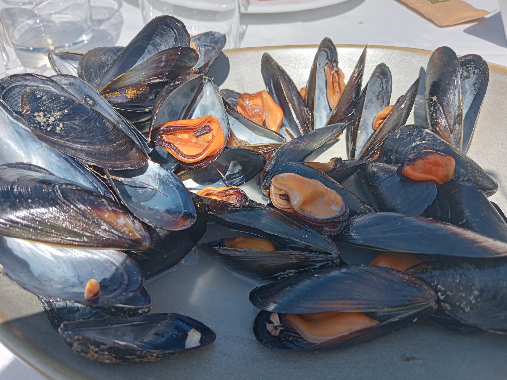 Carta de Restaurantes en Ciutadella de Menorca, Cafè Balear, Mejillones al vapor