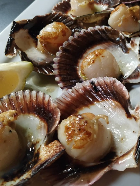 Carta de Restaurantes en Coruña, Orballo, Zamburiñas a la plancha