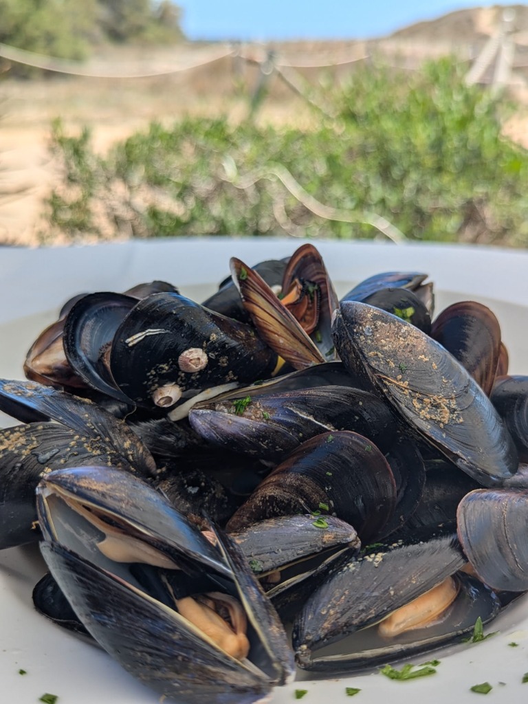 Carta de Restaurantes en El Saler, Mikkonos Beach Club, Clóchinas al vapor