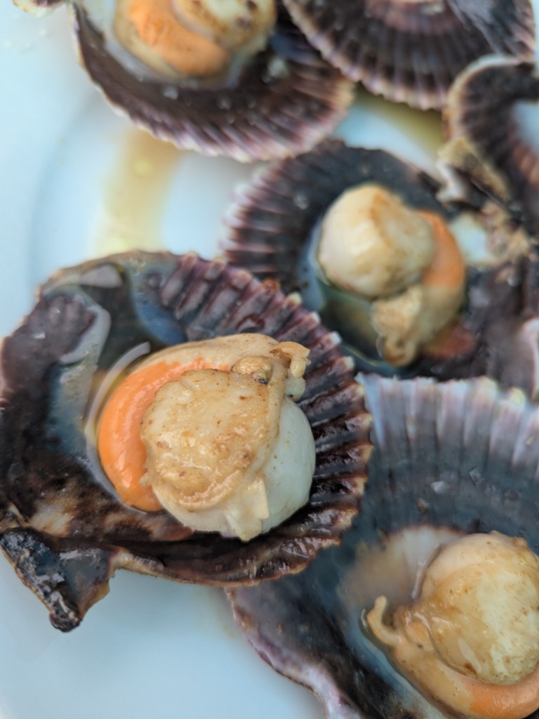 Carta de Restaurantes en Llanes, Chiringuito El Topu (Playa de Antilles)Cue, Vieiras