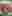 Carta de Restaurantes en Orpesa, Doña Resu, Bocadillo de atún con tomate