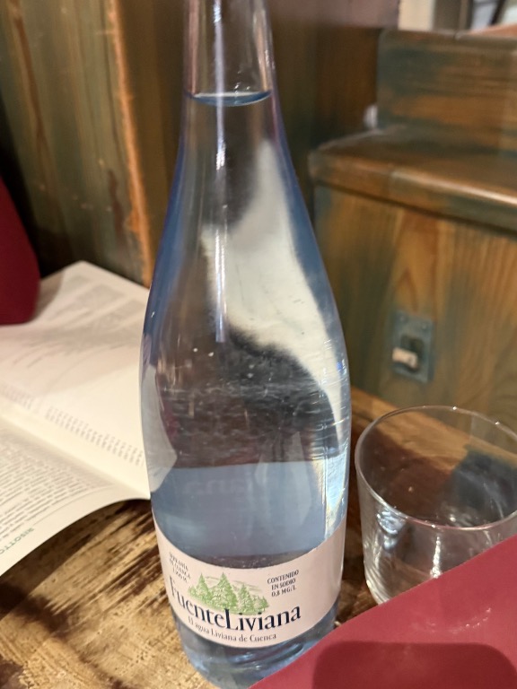 Menu of Restaurants in Pamplona, La Cantinetta, Botella agua grande