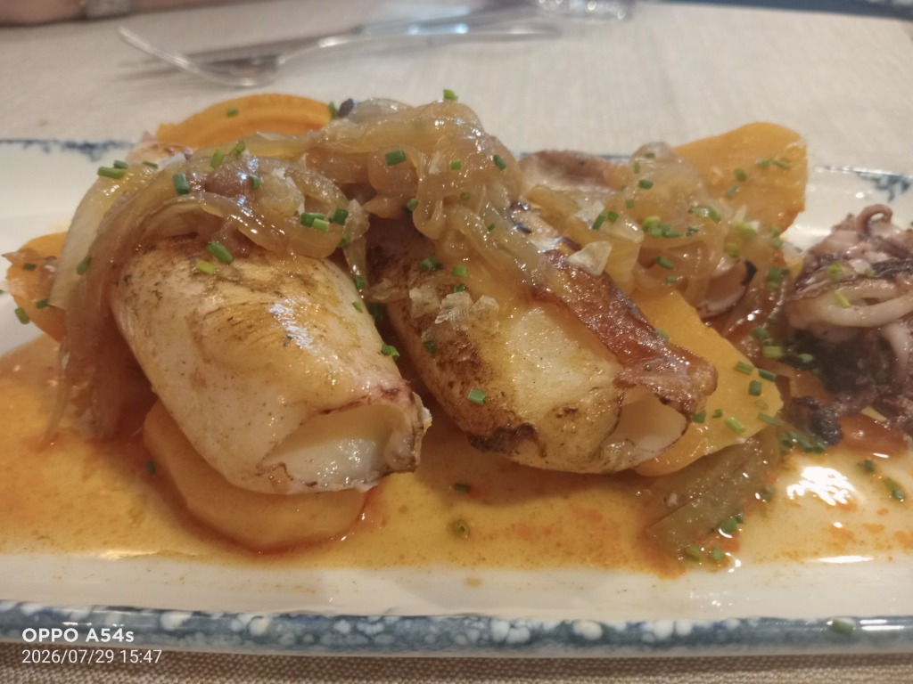 Valoración y opiniones de comida y bebida en Pamplona, Lar Gallego Salazar, Txipirones a la plancha