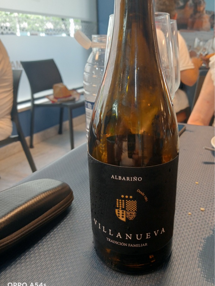 Carta de Restaurantes en Pamplona, Marisquería Iturrama, Alvariño de bodegas Villanueva
