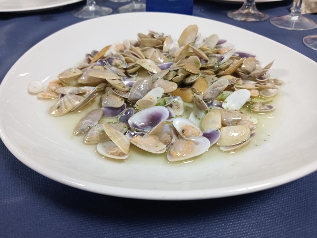 Carta de Restaurantes en Pamplona, Marisquería Iturrama, Coquinas
