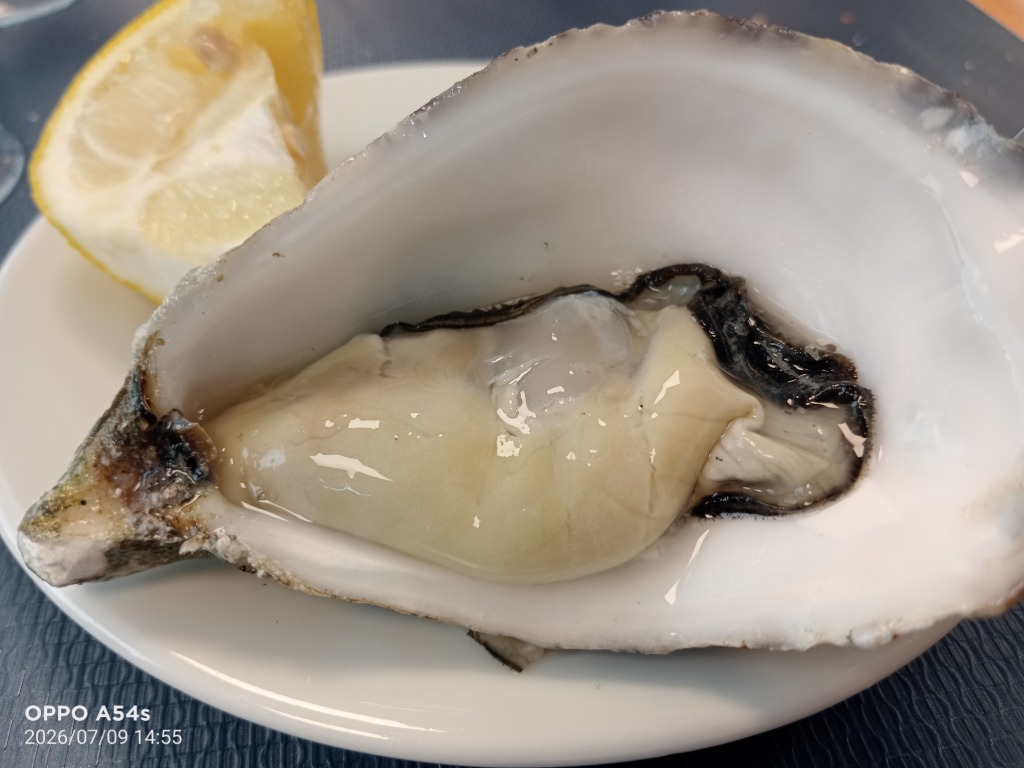 Carta de Restaurantes en Pamplona, Marisquería Iturrama, Ostras al natural
