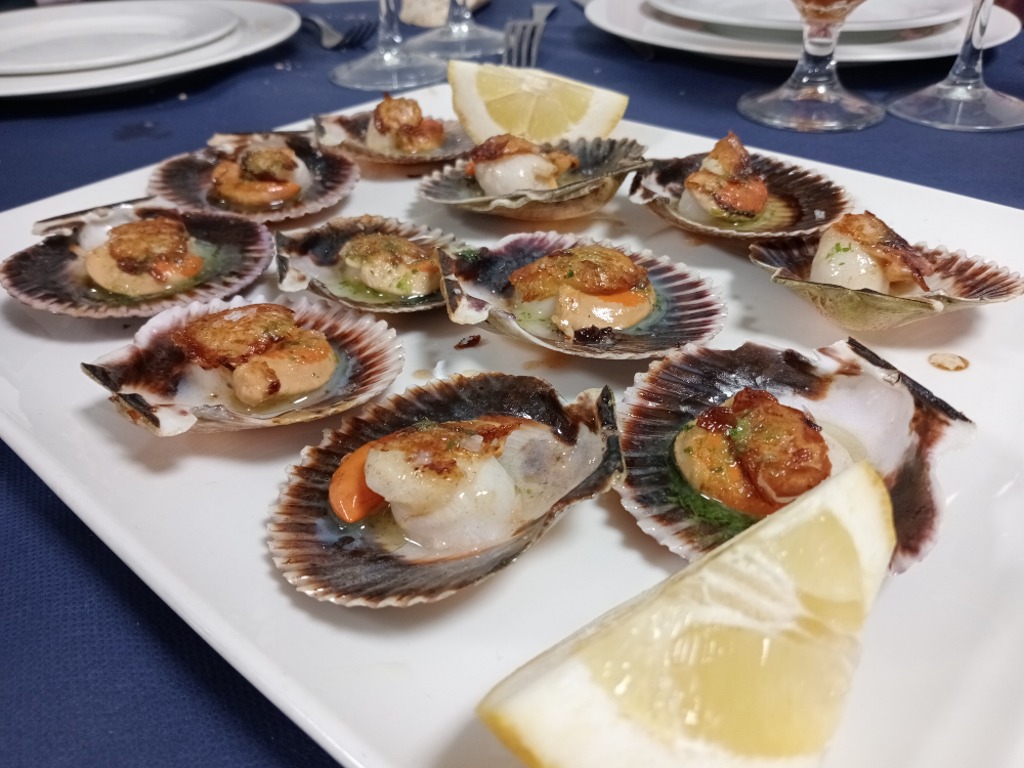 Carta de Restaurantes en Pamplona, Marisquería Iturrama, Zamburiñas