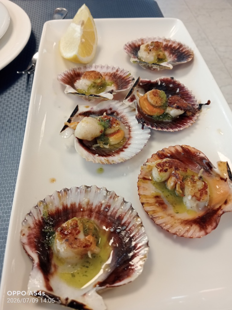 Valoración y opiniones de comida y bebida en Pamplona, Marisquería Iturrama, Zamburiñas en su salsa