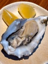 Carta de Restaurantes en Pamplona, Miga, Ostra al natural