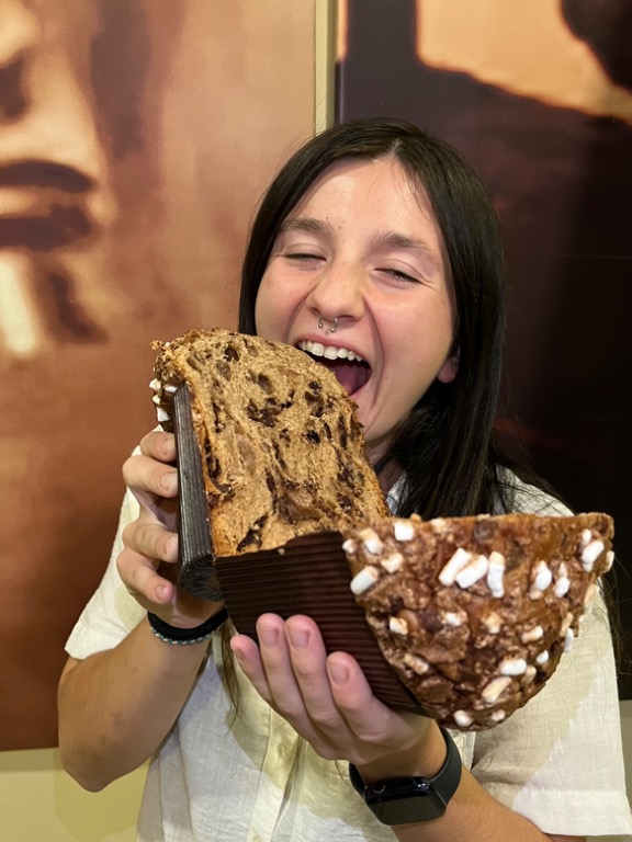 Carta de Cafeterías en Torrevieja, Panaderia Mudopan Bolleria, Panettone de chocolate