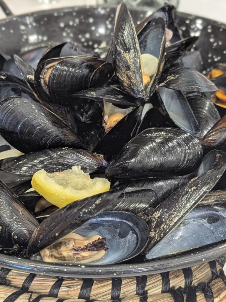 Recomendación gastronómica de Valencia: Clotxinas