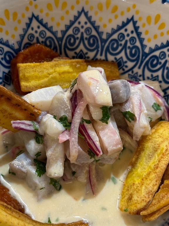 Recomendación gastronómica de Valencia: Ceviche