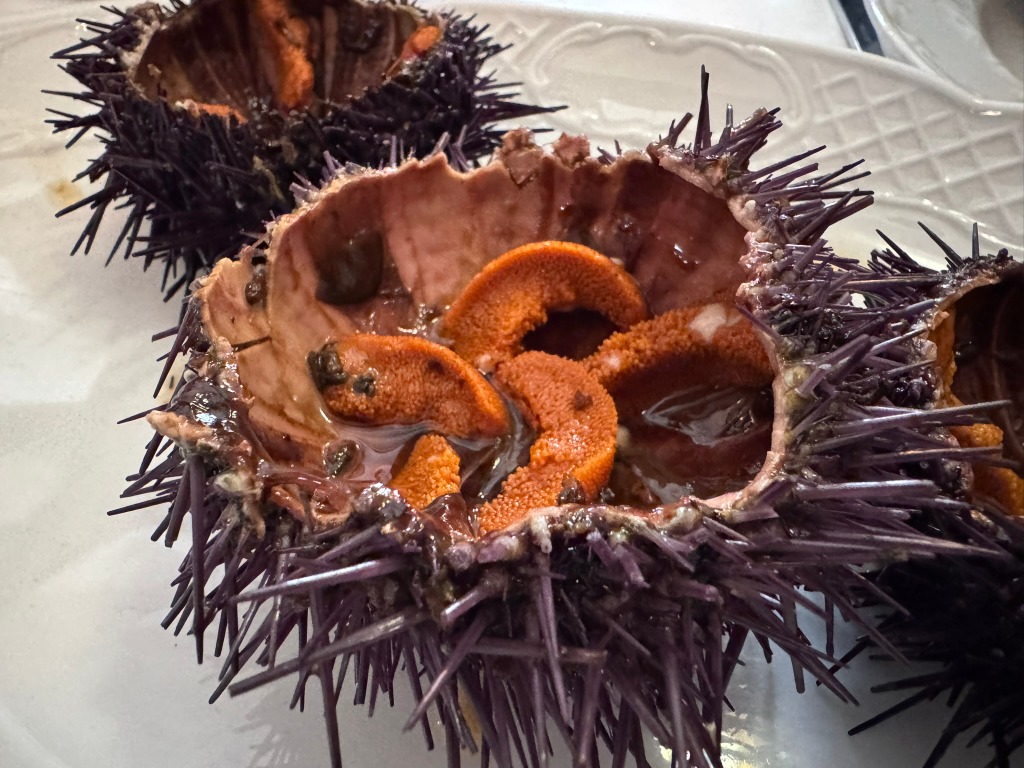 Menu of Restaurants in Vilassar de Mar, CAL TITO - VILASSAR, Erizo de mar