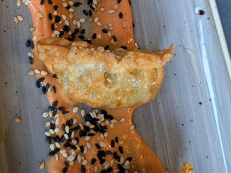 Menu of Restaurants in Zaragoza, Willows | Restaurante en Getxo, Gyozas